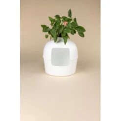 RHR Quality Katzentoilette Flower XXL -PetSafe Verkaufe 9a175089ef2e18d9c2c6261d746d3512930c312f 1641853 de DE fe53414878bfaf3647b8be741b079914a6bd2e93iOsifJ