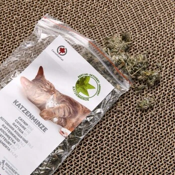 Canadian Cat Company Kratzbrett Jumbo Wave Braun 3 Canadian Cat Company Kratzbrett Jumbo Wave Braun – Bild 3