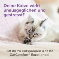 Beaphar CatComfort Excellence Nachfüll-Flakon Für Verdampfer -PetSafe Verkaufe a8613b584df98a596d32ec535fff51094d4ea86c 1416647 1 3