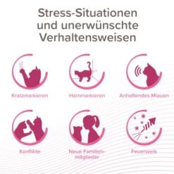 Beaphar CatComfort Excellence Nachfüll-Flakon Für Verdampfer -PetSafe Verkaufe aa6740035f99902181a1da29aff4eee13880e36f 1416647 1 2