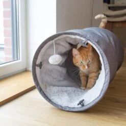 Canadian Cat Company Katzentunnel Mit Kuschelfell Grau -PetSafe Verkaufe aa78ad1b708143cca3db6a7332001b8c875ea18d 1369546 de DE 9594956f1e5c57fae39f0134830dba928d001527f7IEzs