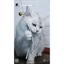 Kater Kasimir Premium Katzenangel Set Aus Buchenholz Mit 4 Handgemachten Anhängern 8 Kater Kasimir Premium Katzenangel Set Aus Buchenholz Mit 4 Handgemachten Anhängern -PetSafe Verkaufe aaff0e9889f09f48c0cf35681edb62768ad623ee 1422145 de DE b29a5f7f2530ce6388e16e2600369d70b2ec0350dUIf7E