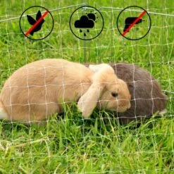 Lionto Katzennetz Inkl. Befestigung -PetSafe Verkaufe ad1b651d8bcc461ab7a5d32a4c77b44e521cf768 1665913 de DE 7c500006d9abf3223e26fa8841d70bed2db024adIv4nbt