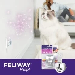 Feliway Help! 7 Tage Start-Set Zur Vorbeugung Von Stress 15 Feliway Help! 7 Tage Start-Set Zur Vorbeugung Von Stress -PetSafe Verkaufe af221c57f6ccc9e6f3f372e52503a2d7b9cf22d4 1380136 5
