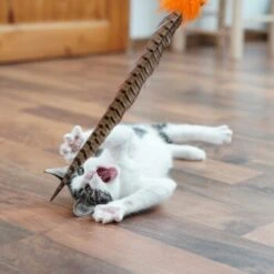 Schlitzohr Federwedel Birdy 3er Pack 15 Schlitzohr Federwedel Birdy 3er Pack -PetSafe Verkaufe b2468018bd2b888c11ee64154d86732de60c7830 1659562 de DE 7d36675a42a956412d003b03e1f072b0ae0379063UsHBd