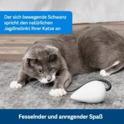 PetSafe Automatisches Katzenspielzeug RoloRat -PetSafe Verkaufe b65e953878b463eb5125c940634b84e8b7c79a3f 1351522 de DE 3daf7dbb27d01ce7d63f06677a32dd6cde28abb9X2tLJP