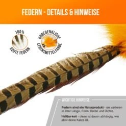 Schlitzohr Federwedel Birdy 3er Pack 18 Schlitzohr Federwedel Birdy 3er Pack -PetSafe Verkaufe bdc9ecaec43f47b36019280ae7e788c534174412 1659562 de DE 36b11fb8804ed0ab3e1a5483fcd8be597379266daxQShR