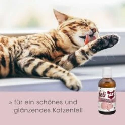 FeliTATZ FellGlanz -PetSafe Verkaufe c632389ff5554b3f77a4c07b5dcd4d35f428a2c1 1666313 de DE aef5012fb4dd575d53ef4492b6faf7c4f11752ddfl85CX