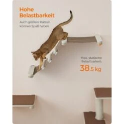 FEANDREA Clickat Katzen-Kletterhängematte 12 FEANDREA Clickat Katzen-Kletterhängematte -PetSafe Verkaufe c7ac0035e3564741d097d2ee84db69558fcbeb36 1681422 de DE 69b299a2a0b5f1d93e61abe664375afb5e8ca6e9sZQMir