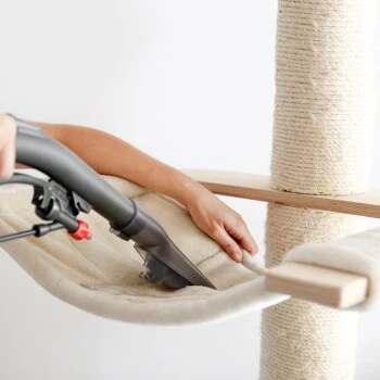 THOMAS AQUA FleckWasher 9 THOMAS AQUA FleckWasher – Bild 9