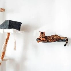 Canadian Cat Company Filz-Hängematte Für Die Wand -PetSafe Verkaufe d6982ed9d12e9d0cbfd4107464642cbf75290f16 1360996 de DE d8ac4e7927d3348063cd4288852ccba5cd28bc01nV0N95