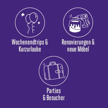 Feliway Help! 7 Tage Start-Set Zur Vorbeugung Von Stress 4 Feliway Help! 7 Tage Start-Set Zur Vorbeugung Von Stress – Bild 4