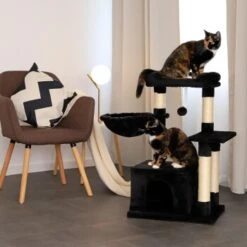 Lionto Kratzbaum Höhe 85 Cm Schwarz -PetSafe Verkaufe dd0e7cf28bc0aec8de2100657cc9a578d42c02e9 1657004 de DE a873592f3b94042f2787c5ac5fe2ced7ffef53d38BzneZ