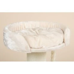 RHR Quality Kratzbaum Chartreux -PetSafe Verkaufe dde5ac5d5e858895d010c0d9a26b9f63df3773cd 1657336 de DE 6bcca9079bf53177cf029622803340e937ccd52eDdm5RL