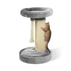 MORE Kratzbaum Bente -PetSafe Verkaufe e9b2f106fd5166a39ac6fc361f4a0c914a27a18c e3dce24ee9bad6c267aa9c1b35023714eb90889e