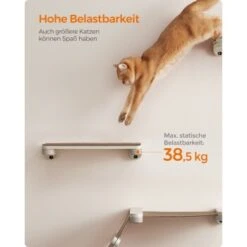 FEANDREA 3st. Clickat Katzenbrett Für Die Wand 12 FEANDREA 3st. Clickat Katzenbrett Für Die Wand -PetSafe Verkaufe eff0845c1d39f1df06ac9b2fea5543f13b924fe7 1681458 de DE 49f3284dc1e7752ec473d61a07cc5870214b52015wNOhn
