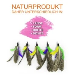 Schlitzohr Katzenangel Federanhänger 5x 13 Schlitzohr Katzenangel Federanhänger 5x -PetSafe Verkaufe f6a96b93601c3b2f6f7420ade3ecfe56542cca74 1484675 de DE b1d2fd29ad67016b9a6af908251d348edfa467f2BG8aWR