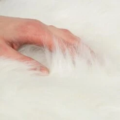 Canadian Cat Company Filzlounge AVA Beige M -PetSafe Verkaufe fd8b746ad0dc996bb62efc39f6c670f6be8df30e 1360999 de DE c86a4e6d9ceba2c1e55f3f753eeda095c89215723XoDPL